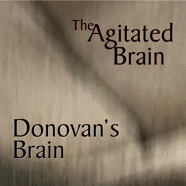 The Agitated Brain