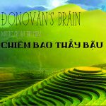 Donovans Brain - Dreaming Of You